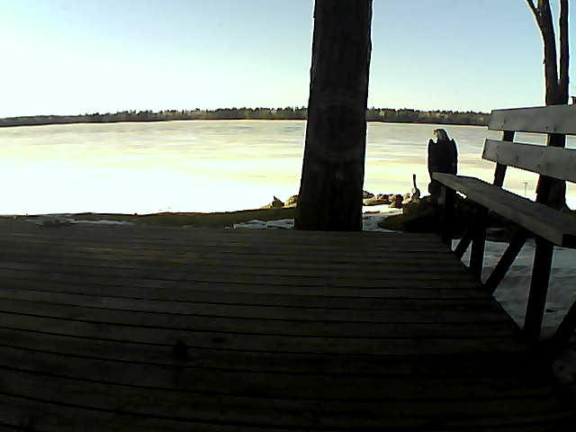 Whiteface Cam Image - Fri, 03/19/2021 5:04pm 