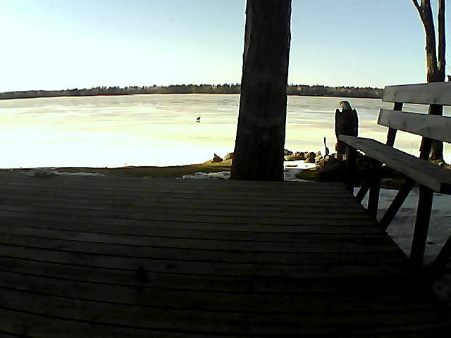 Whiteface Cam Image - Fri, 03/19/2021 5:16pm 