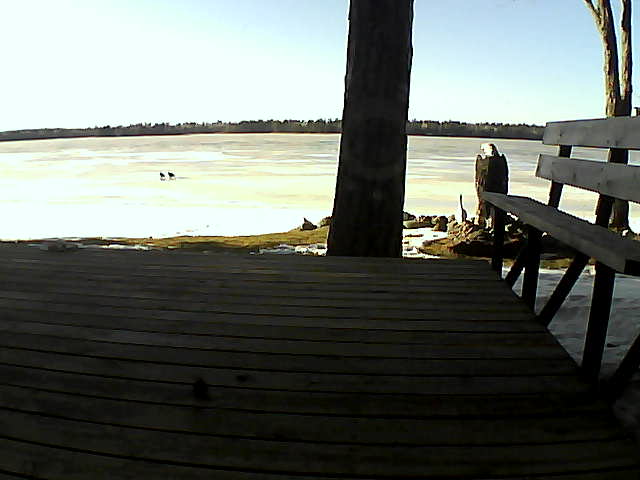 Whiteface Cam Image - Fri, 03/19/2021 5:40pm 