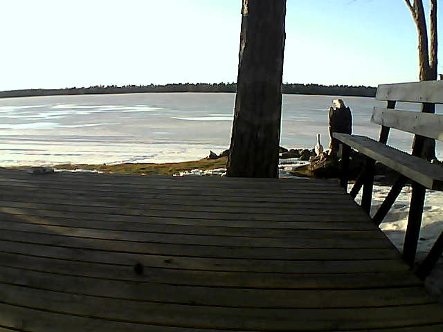 Whiteface Cam Image - Fri, 03/19/2021 6:48pm 