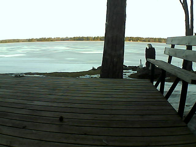 Whiteface Cam Image - Sat, 03/20/2021 7:37am 