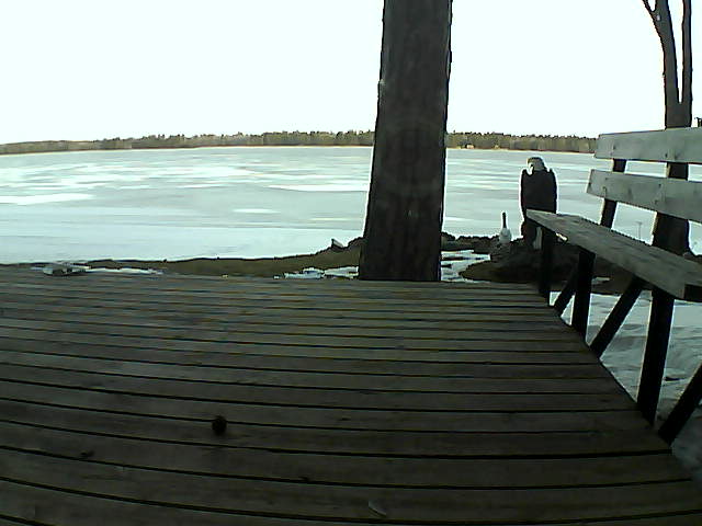 Whiteface Cam Image - Sat, 03/20/2021 7:48am 