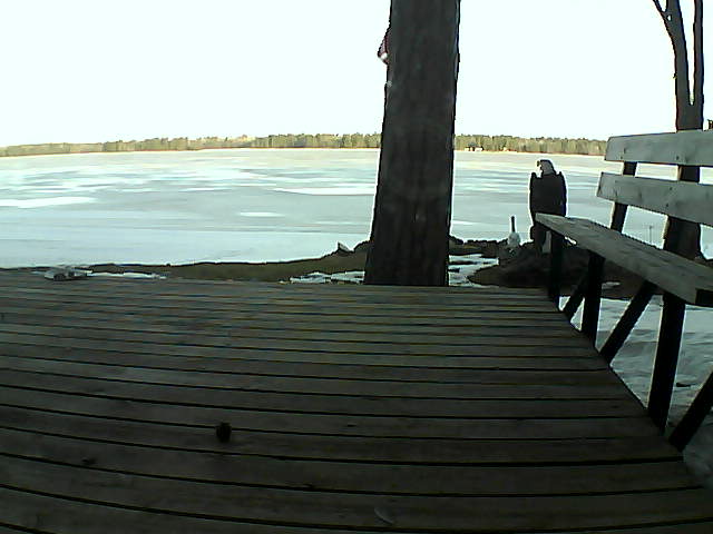 Whiteface Cam Image - Sat, 03/20/2021 8:10am 