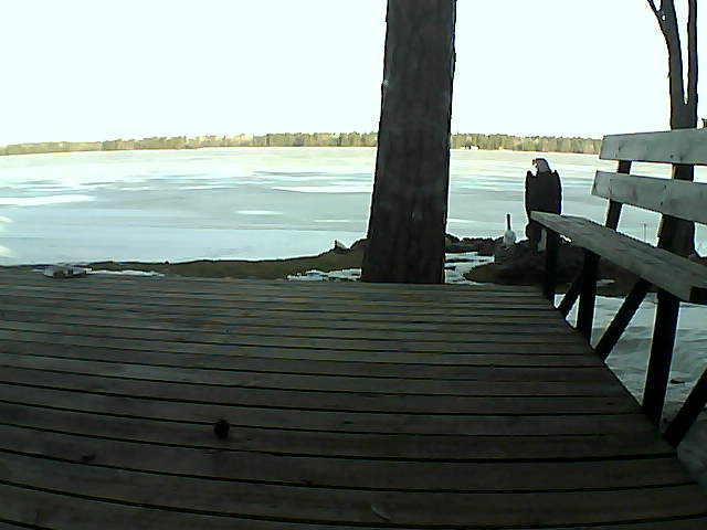 Whiteface Cam Image - Sat, 03/20/2021 8:33am 