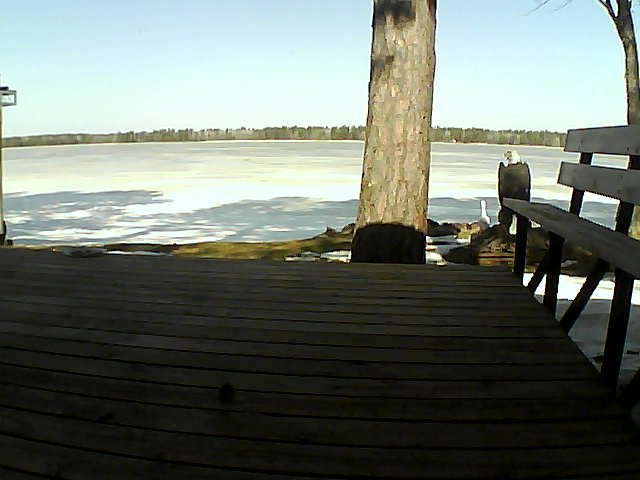 Whiteface Cam Image - Sat, 03/20/2021 11:10am 