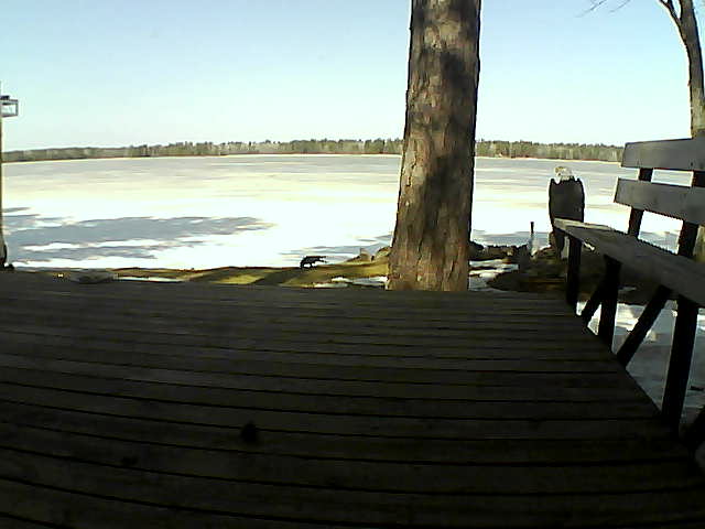 Whiteface Cam Image - Sat, 03/20/2021 11:52am 