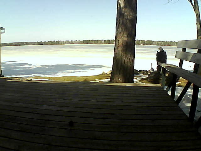 Whiteface Cam Image - Sat, 03/20/2021 12:38pm 