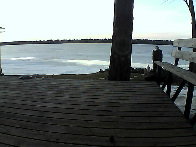 Whiteface Cam Image - Sat, 03/20/2021 6:47pm 