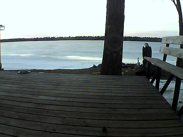 Whiteface Cam Image - Sat, 03/20/2021 7:13pm 