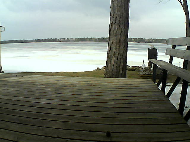 Whiteface Cam Image - Sun, 03/21/2021 1:24pm 