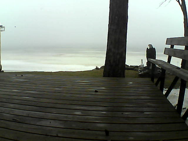 Whiteface Cam Image - Mon, 03/22/2021 7:50am 