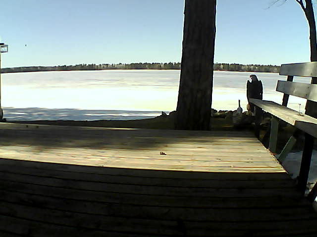 Whiteface Cam Image - Mon, 03/22/2021 3:00pm 