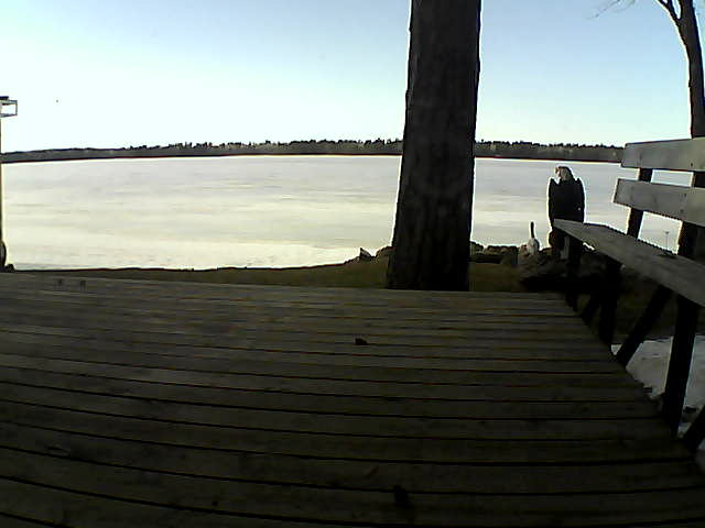 Whiteface Cam Image - Mon, 03/22/2021 4:49pm 