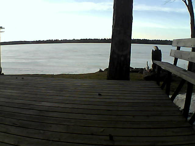 Whiteface Cam Image - Mon, 03/22/2021 6:41pm 