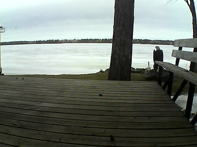 Whiteface Cam Image - Tue, 03/23/2021 10:37am 