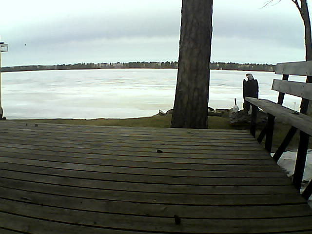 Whiteface Cam Image - Tue, 03/23/2021 10:49am 