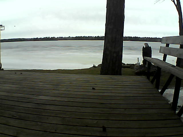 Whiteface Cam Image - Tue, 03/23/2021 12:15pm 