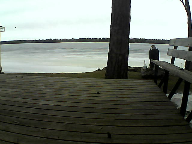 Whiteface Cam Image - Tue, 03/23/2021 1:01pm 