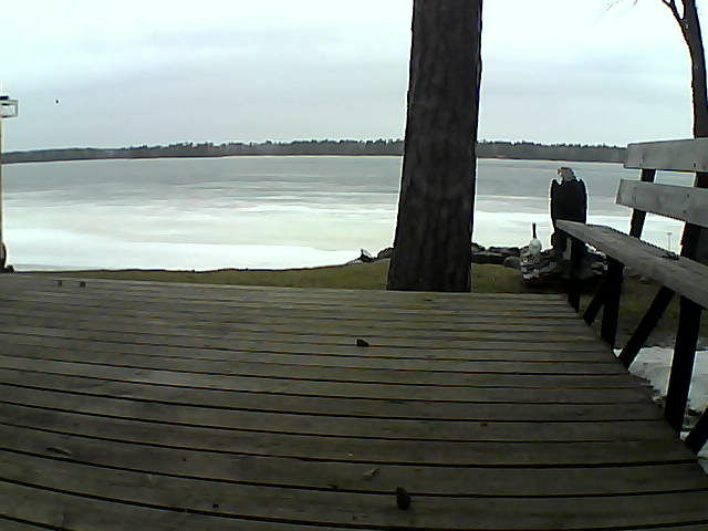 Whiteface Cam Image - Tue, 03/23/2021 4:52pm 