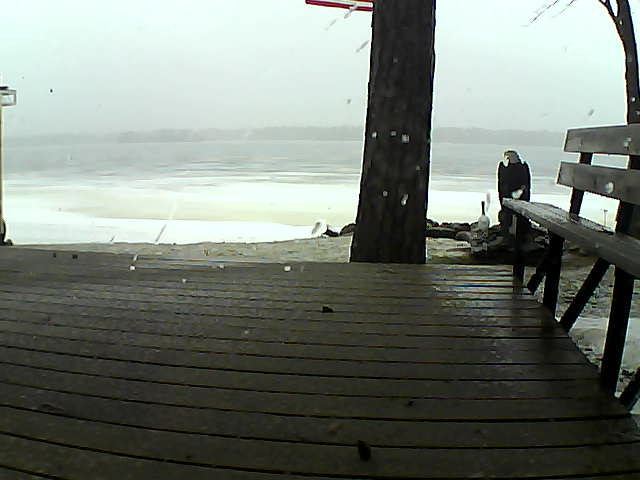 Whiteface Cam Image - Wed, 03/24/2021 9:17am 