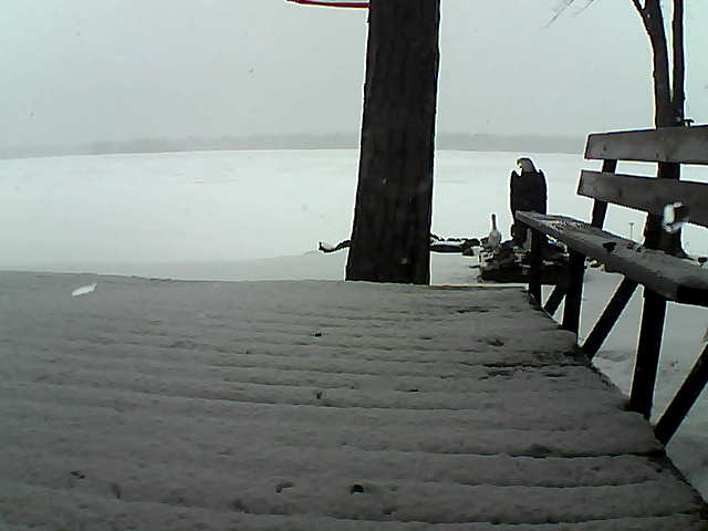 Whiteface Cam Image - Wed, 03/24/2021 12:50pm 