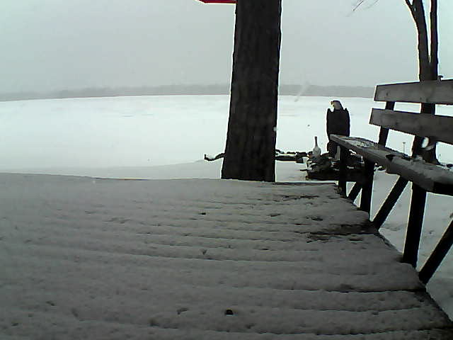 Whiteface Cam Image - Wed, 03/24/2021 1:33pm 