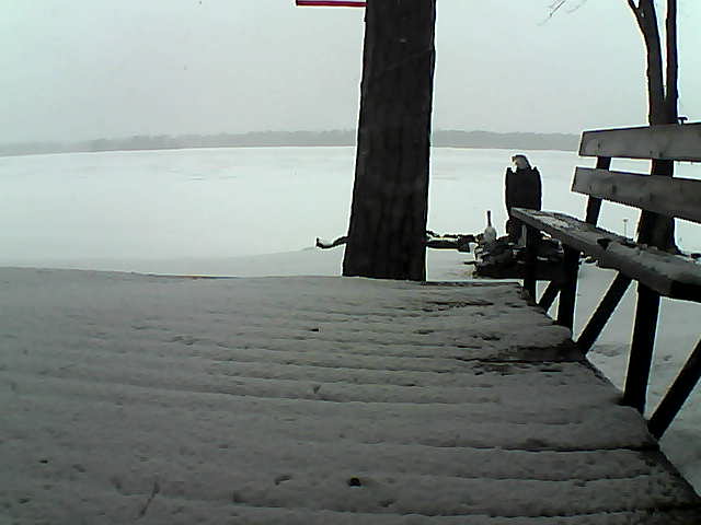 Whiteface Cam Image - Wed, 03/24/2021 2:13pm 