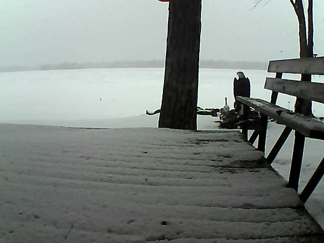 Whiteface Cam Image - Wed, 03/24/2021 2:39pm 