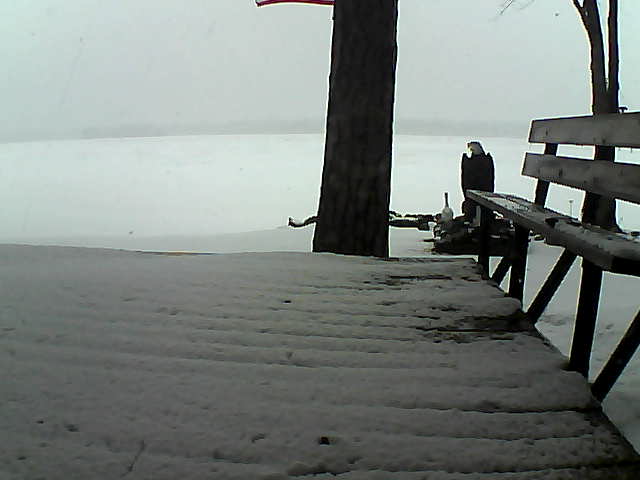 Whiteface Cam Image - Wed, 03/24/2021 2:56pm 