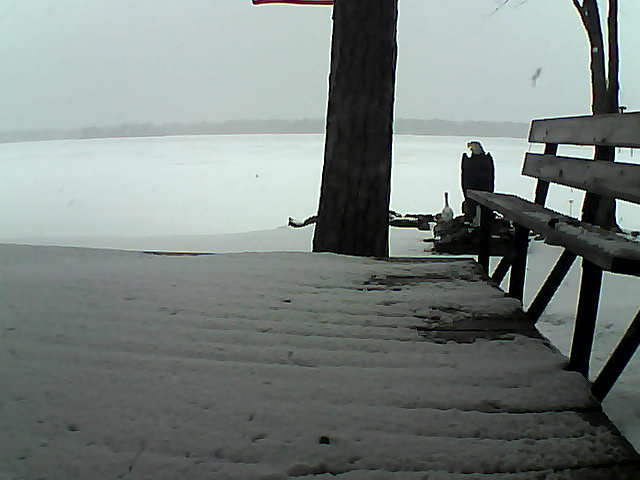 Whiteface Cam Image - Wed, 03/24/2021 4:17pm 