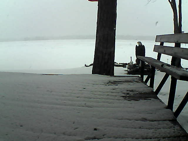 Whiteface Cam Image - Wed, 03/24/2021 4:31pm 