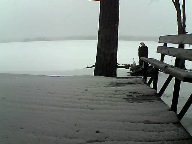 Whiteface Cam Image - Wed, 03/24/2021 5:08pm 