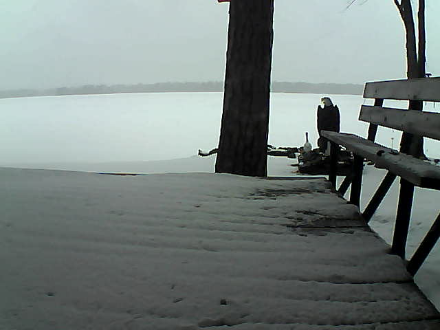 Whiteface Cam Image - Wed, 03/24/2021 5:34pm 