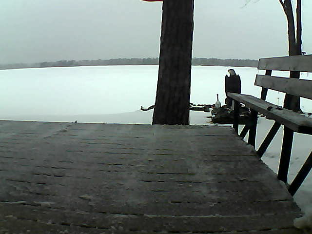 Whiteface Cam Image - Wed, 03/24/2021 7:04pm 