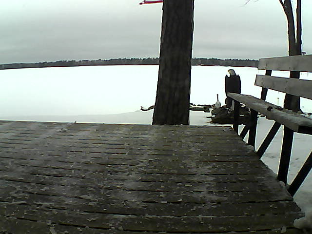 Whiteface Cam Image - Thu, 03/25/2021 8:37am 