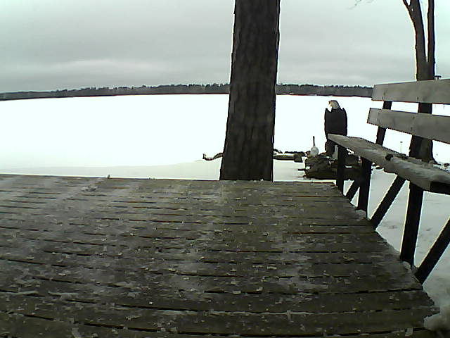 Whiteface Cam Image - Thu, 03/25/2021 9:58am 