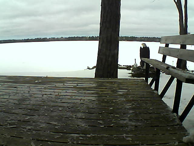 Whiteface Cam Image - Thu, 03/25/2021 2:33pm 