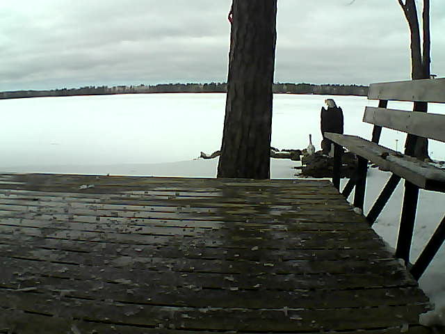 Whiteface Cam Image - Thu, 03/25/2021 2:45pm 