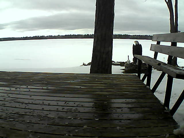 Whiteface Cam Image - Thu, 03/25/2021 4:50pm 