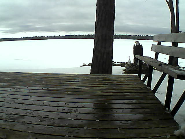 Whiteface Cam Image - Thu, 03/25/2021 5:11pm 