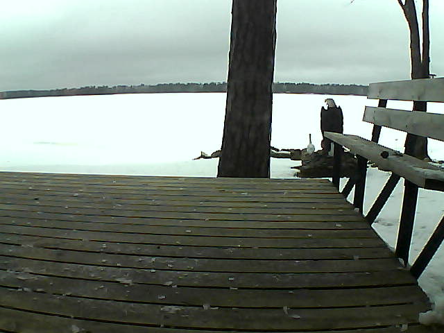 Whiteface Cam Image - Fri, 03/26/2021 7:01am 