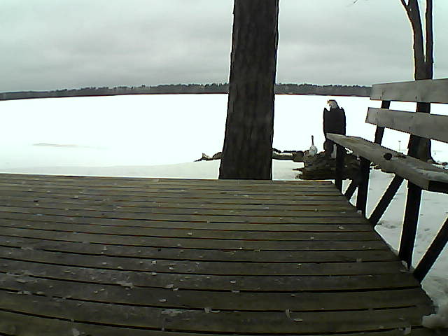 Whiteface Cam Image - Fri, 03/26/2021 8:26am 