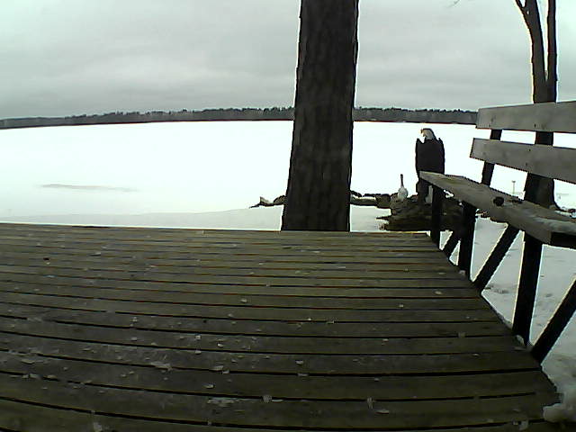 Whiteface Cam Image - Fri, 03/26/2021 8:47am 