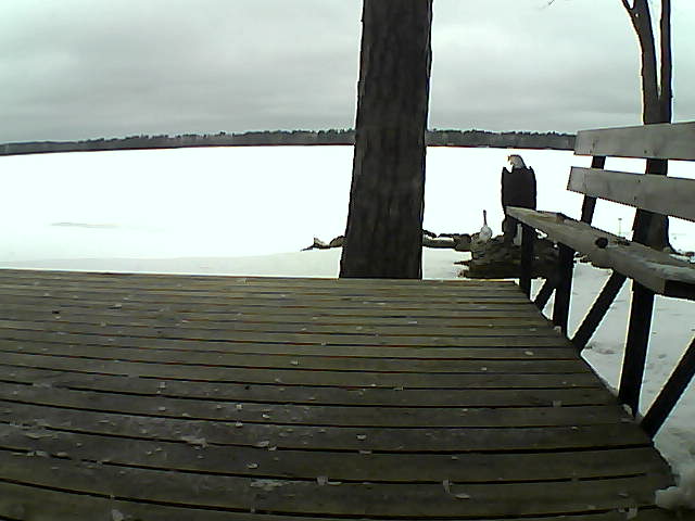 Whiteface Cam Image - Fri, 03/26/2021 9:01am 