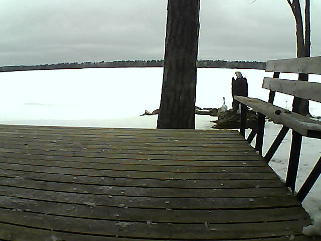 Whiteface Cam Image - Fri, 03/26/2021 10:40am 