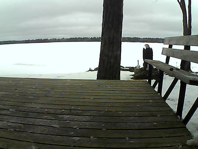 Whiteface Cam Image - Fri, 03/26/2021 10:58am 