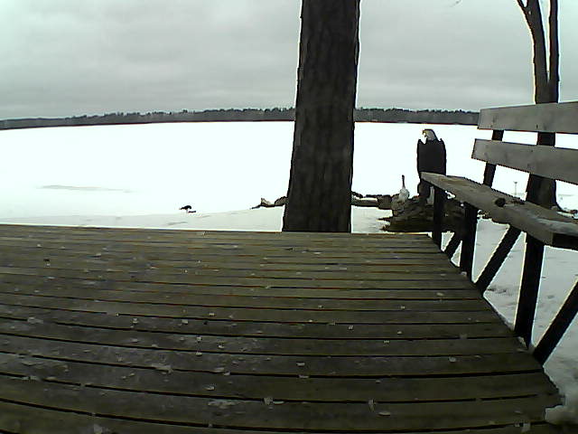 Whiteface Cam Image - Fri, 03/26/2021 11:14am 