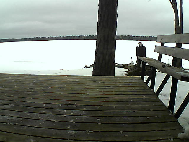 Whiteface Cam Image - Fri, 03/26/2021 11:24am 