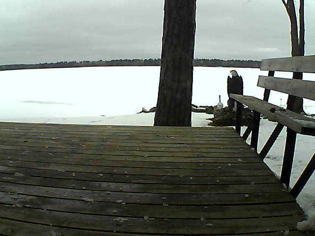 Whiteface Cam Image - Fri, 03/26/2021 12:15pm 