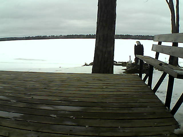 Whiteface Cam Image - Fri, 03/26/2021 2:27pm 